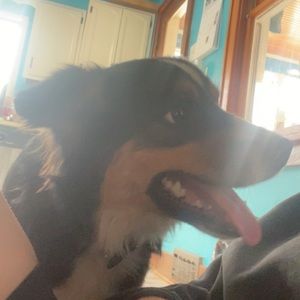 Meet your Posher, Tessa